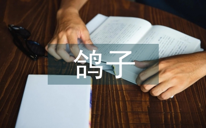喂鴿子