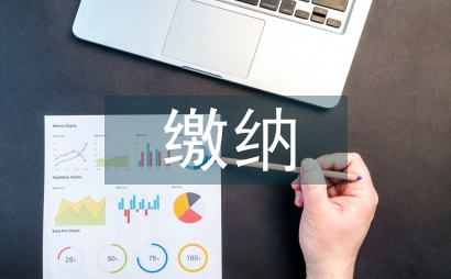 車船稅的繳納方式