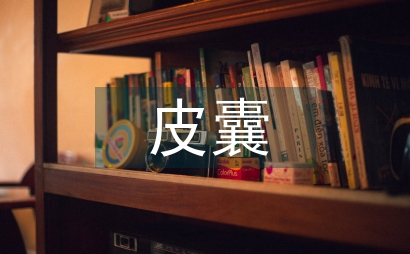 我的華麗皮囊