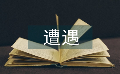 民警在處警中遭遇嚴重暴力對抗的戰法