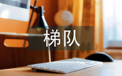 人才培養及梯隊建設實施方案