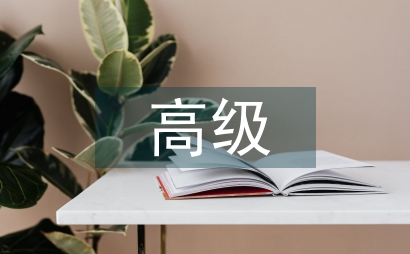 高級護士論文