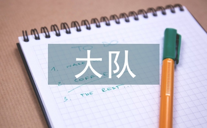 城管局執法大隊糾風工作實施方案