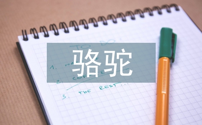 找駱駝教學設計