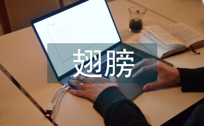 彩色翅膀