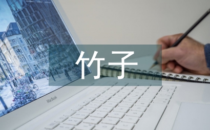 竹子產品設計創新研究