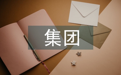集團稅務標準化管理論文