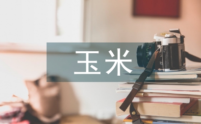 玉米種植中農業工程技術運用