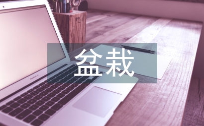 盆栽企業物流監管闡述