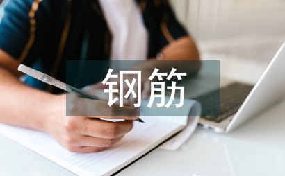 鋼筋實訓報告
