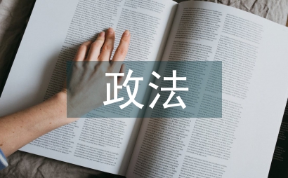 上半年政法工作總結