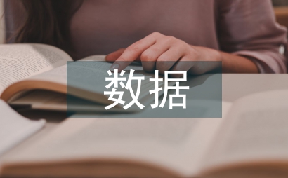 大數據審計報告