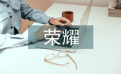 華為榮耀網絡營銷研究