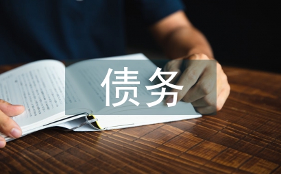 債務風險論文