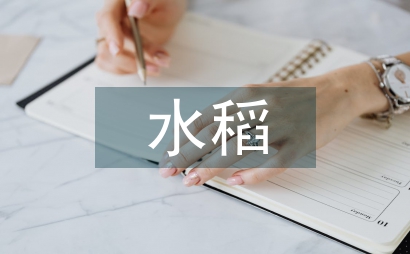 農業技術推廣及水稻栽培技術探究