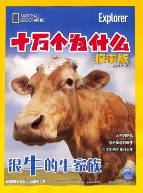 語文報
