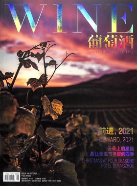 乒乓世界