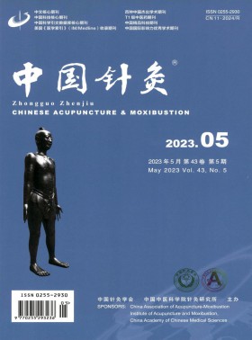 中國針灸期刊
