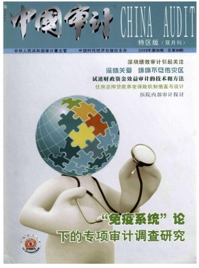 中國審計期刊