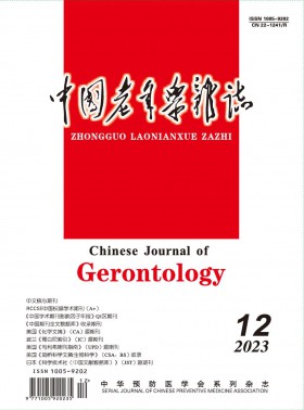 中國老年學期刊