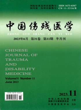中國傷殘醫學期刊