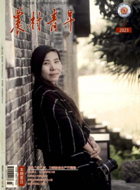農村青年期刊