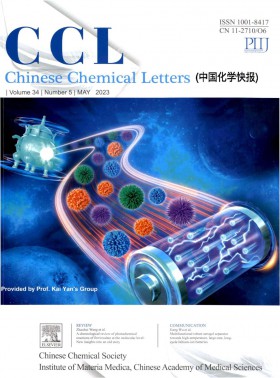 中國化學快報期刊