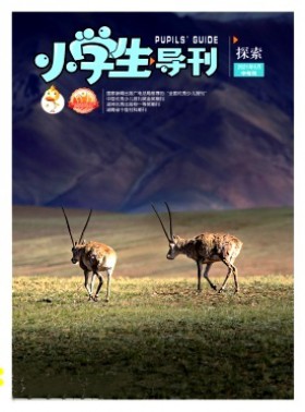 小學生導刊·中年級
