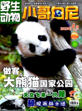 小哥白尼·野生動物畫報