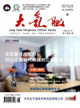 大氮肥期刊