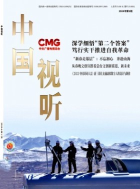 中國視聽